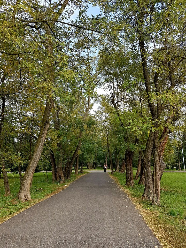 Passeggiando