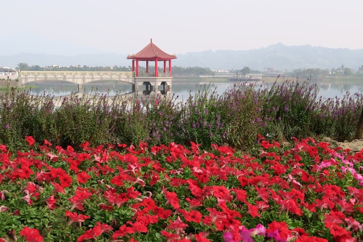 Lake view