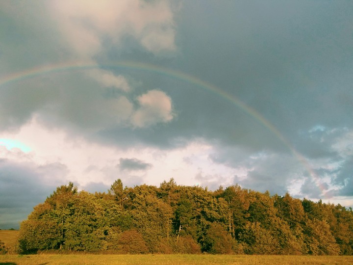 Autumn rainbow