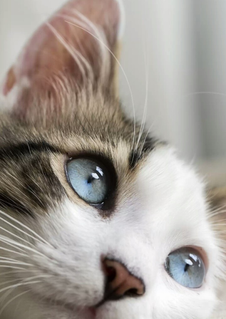 ♡♡♡♡