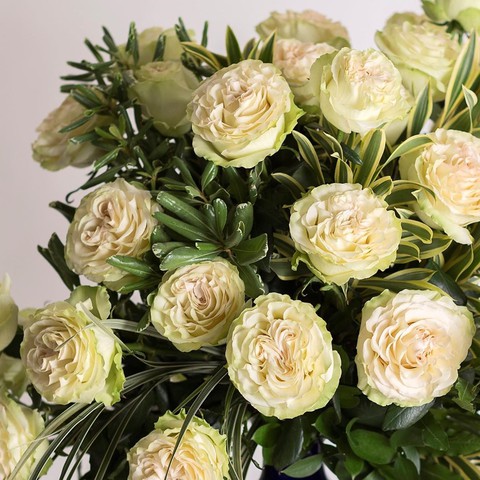 Roses