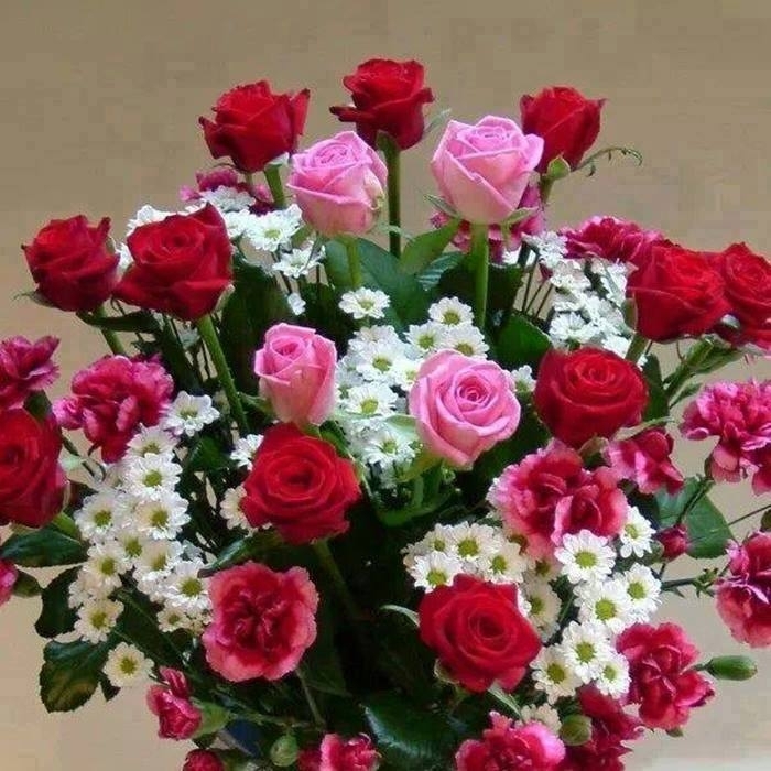 flores