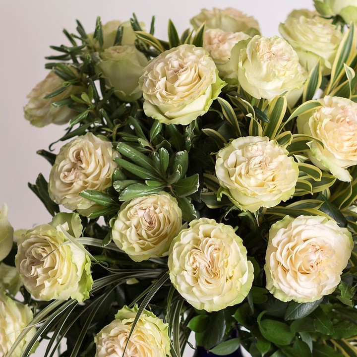 Roses