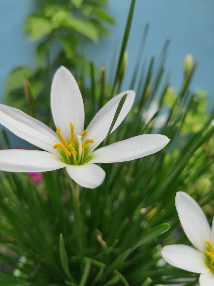 Beautiful Nature