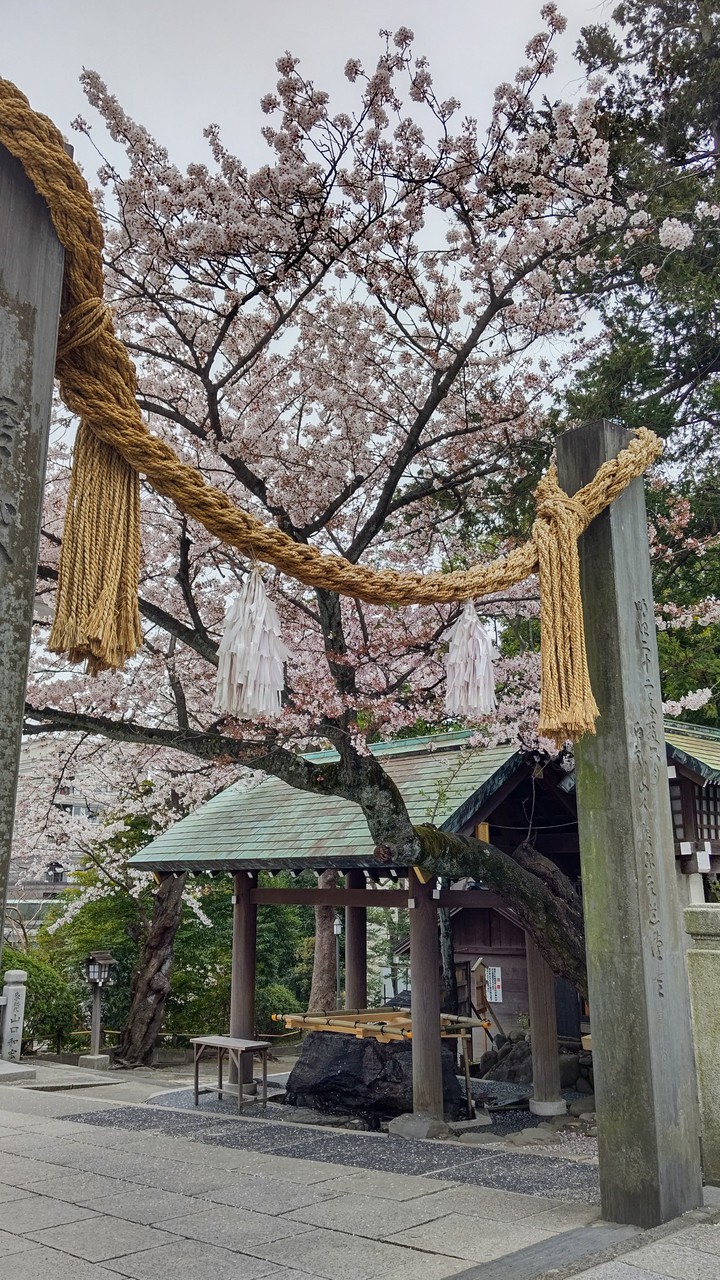 お伊勢さん