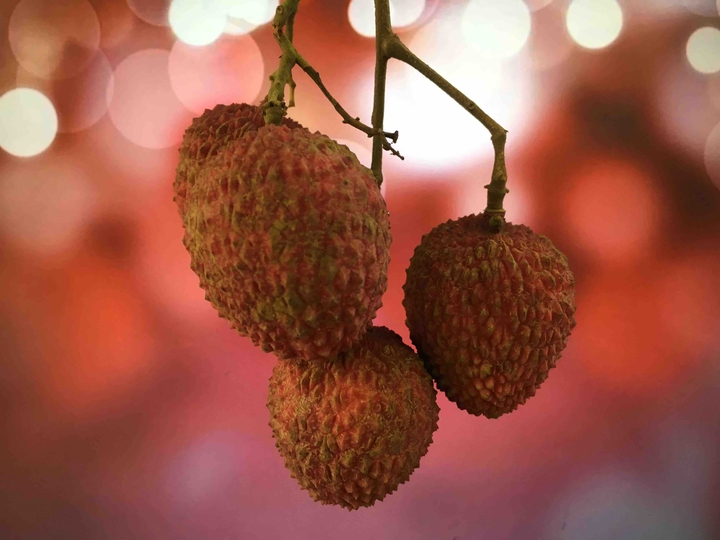 litchi