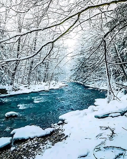frozen