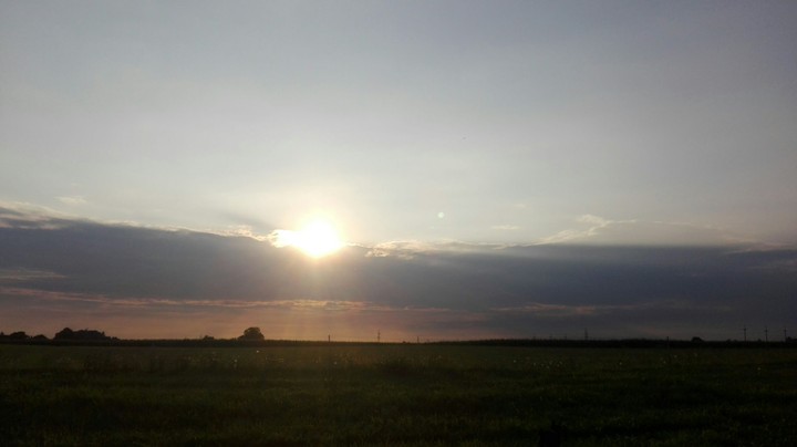 Love my country
