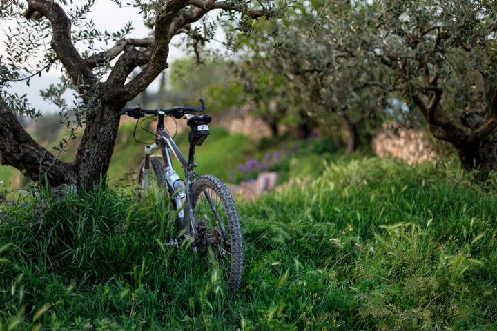 morning cycle ride