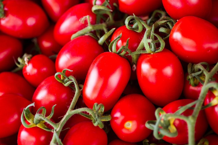 tomato