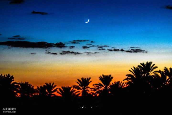 nuit negrin