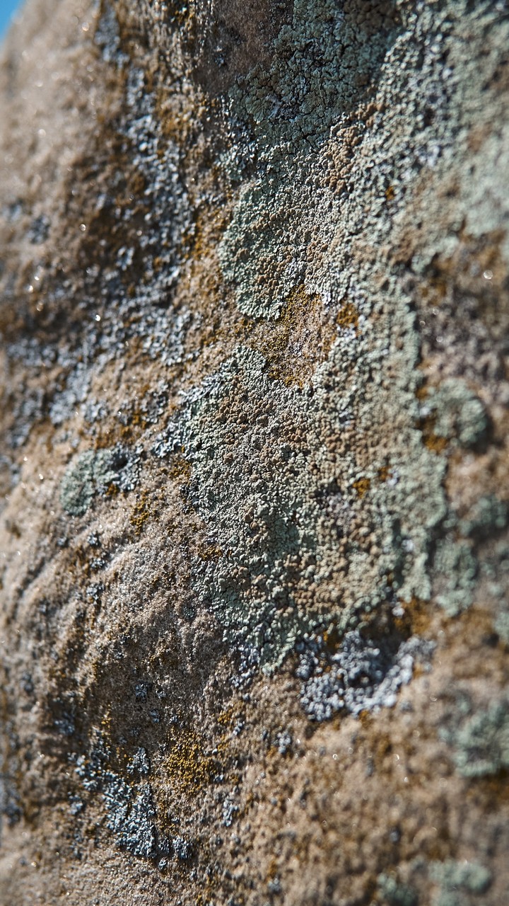 stone