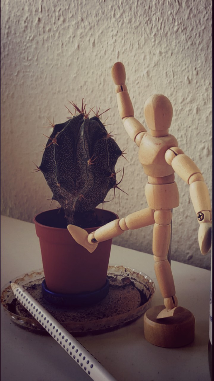 cactus v/s wooden man