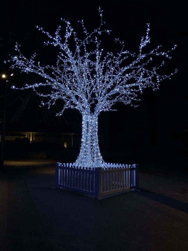 Christmas lightning #tree #lights 