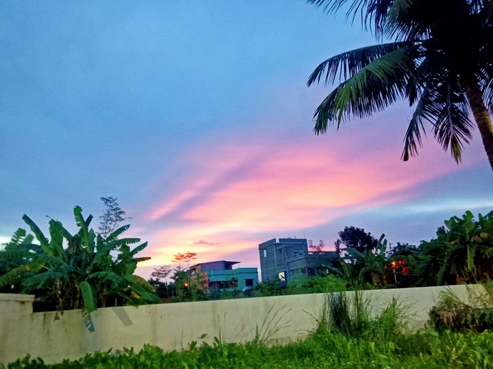 Sky