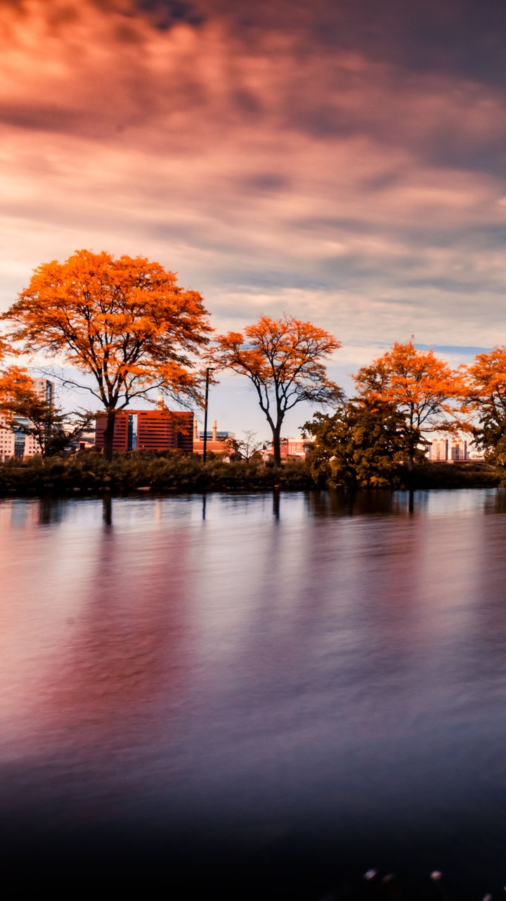 Autumn