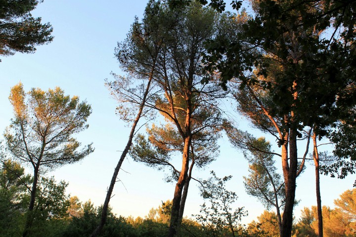 Sunset Provence