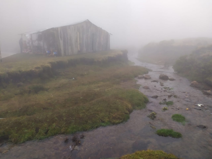 neblina ....presa inturbide