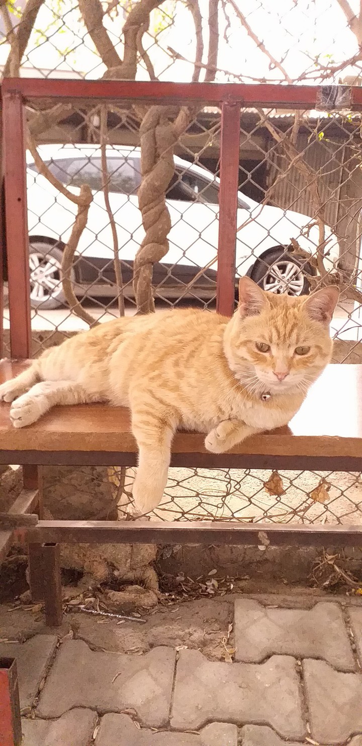 خ