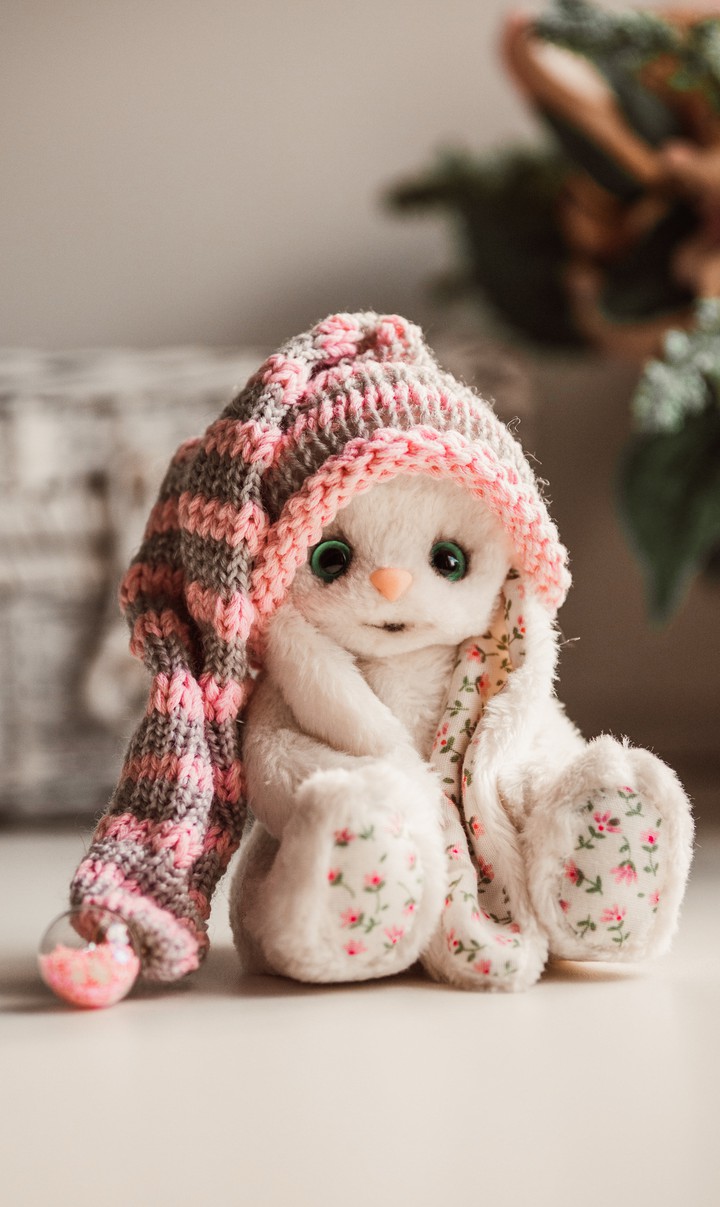 bunny baby