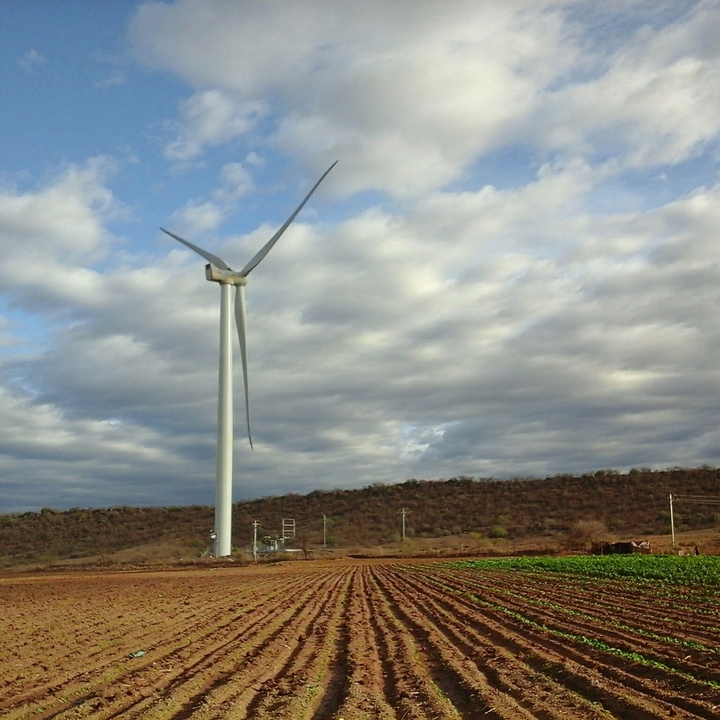 Windmill