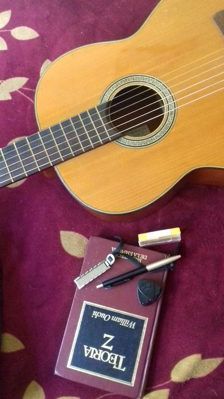 guitar