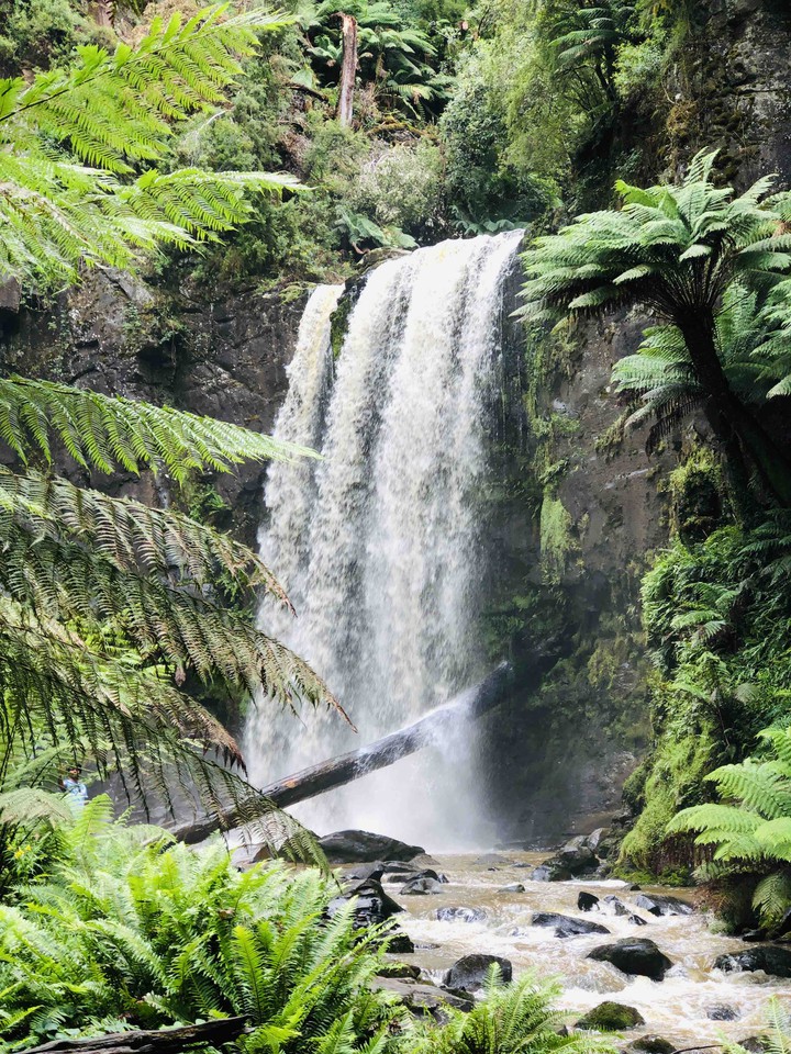 Hopetoun Waterfalls- Beach Forest