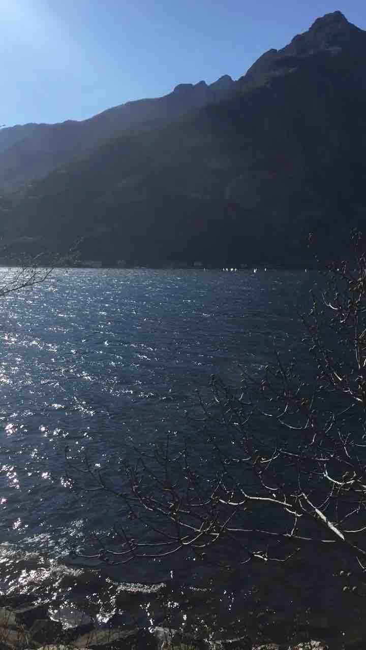 Walking here today