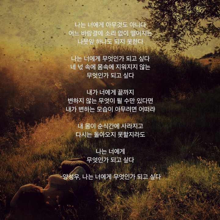 나는 너에게 무엇인가 되고싶다 / 양성우
