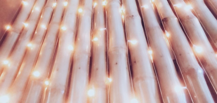 lights
