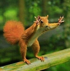 Attention everyone!   It is friday today!