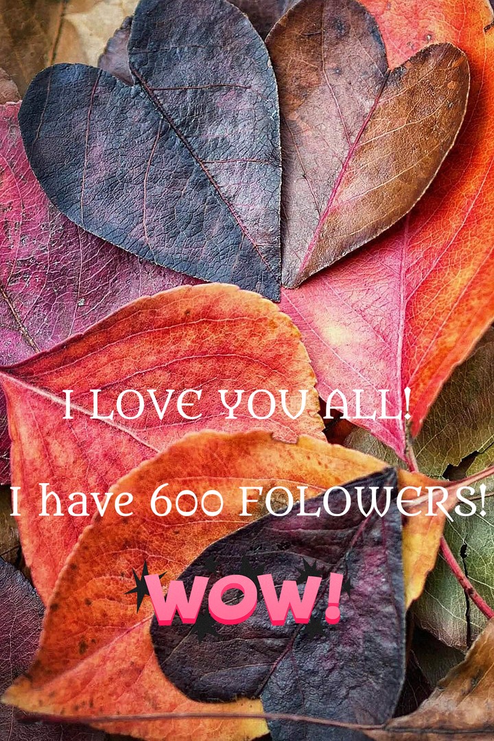 #600#folowers