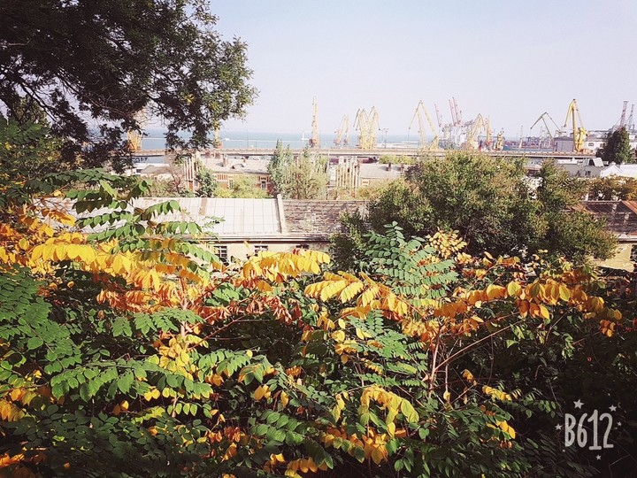 odessa#port