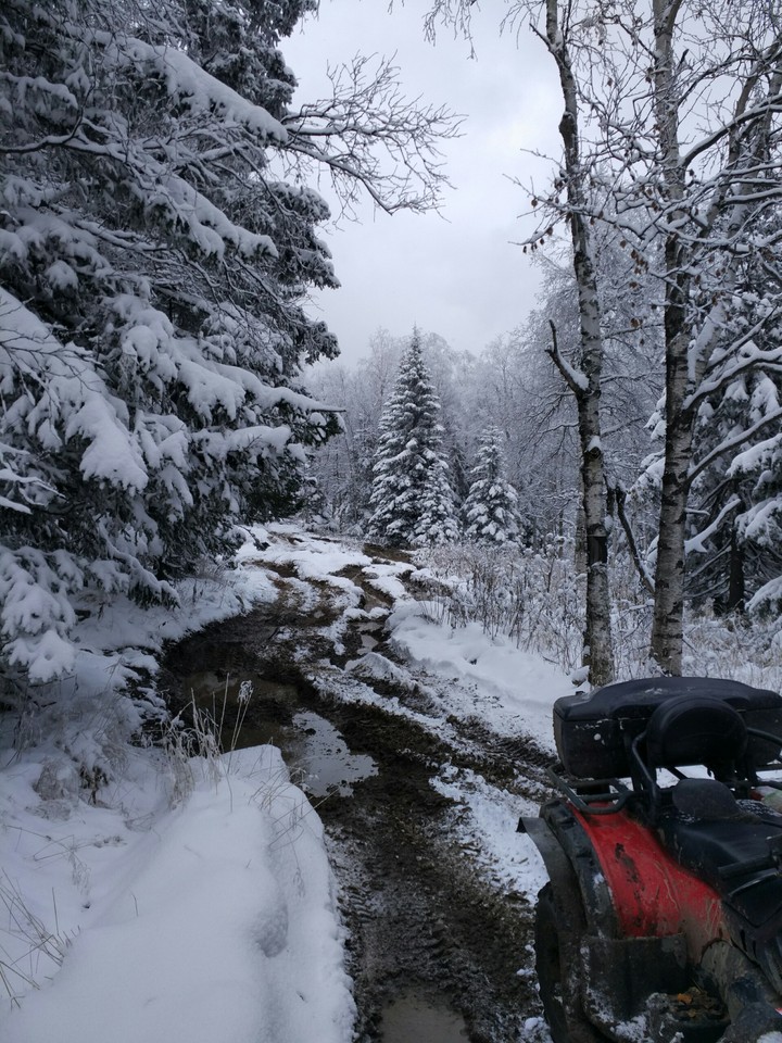 Winter start in novrember.