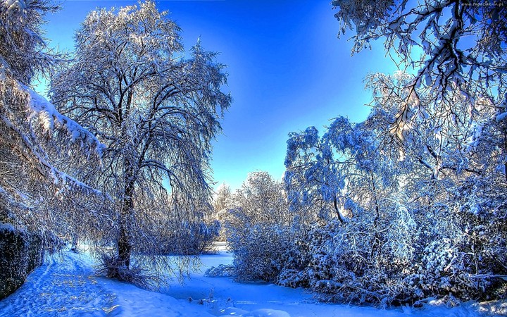 Winter