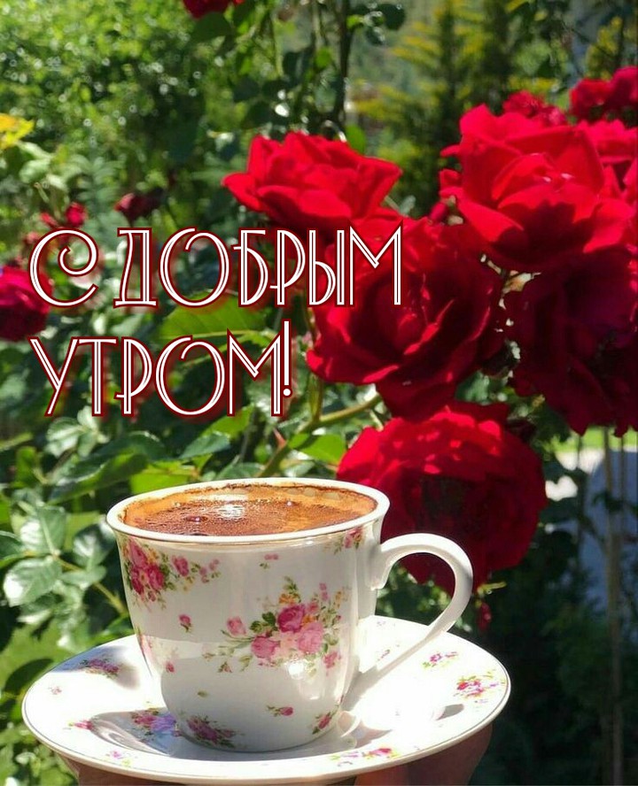 доброе утро
