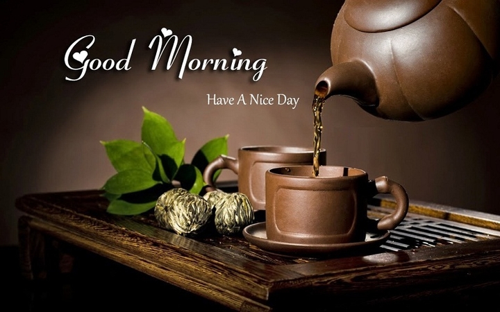 Good Morning