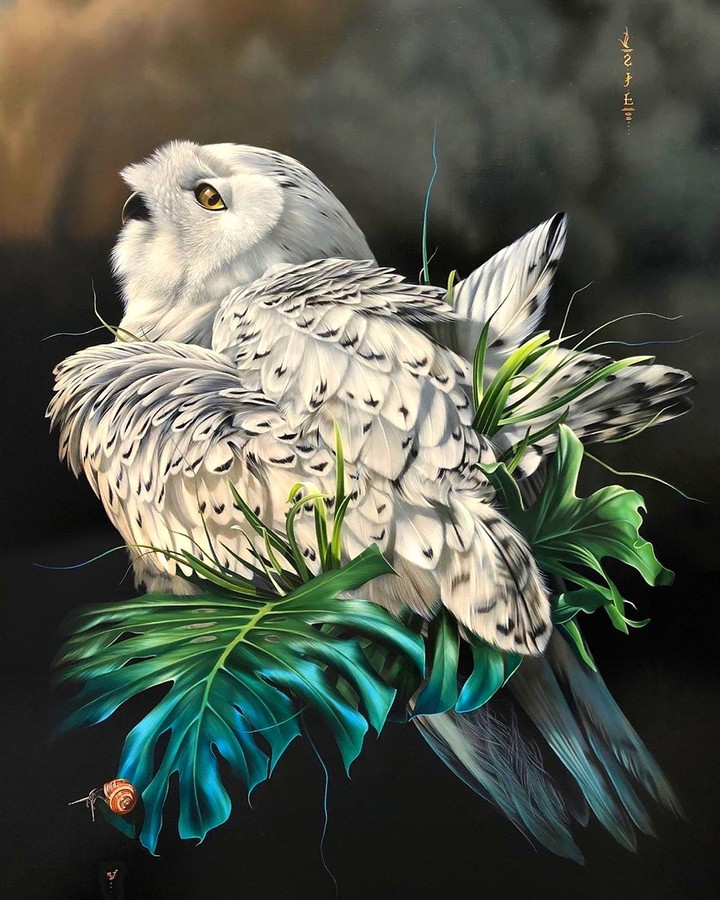 Owl