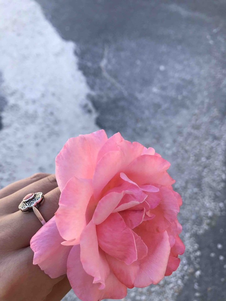 Flower by a English men