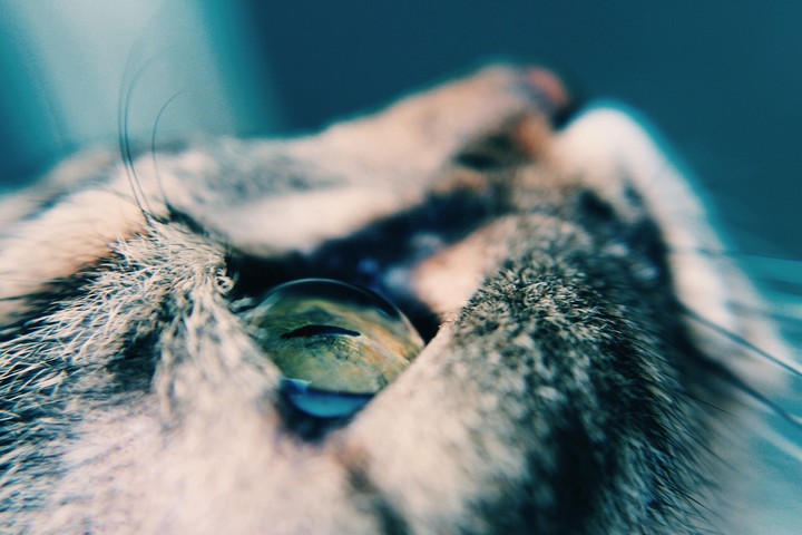 love eyes