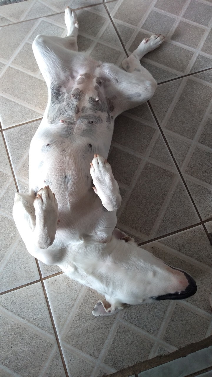 só de boa minha Lola ??