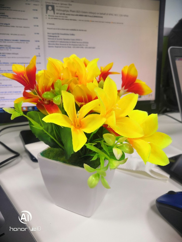 flowers