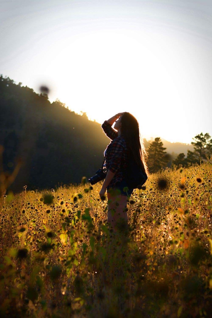 Sunset Adventures