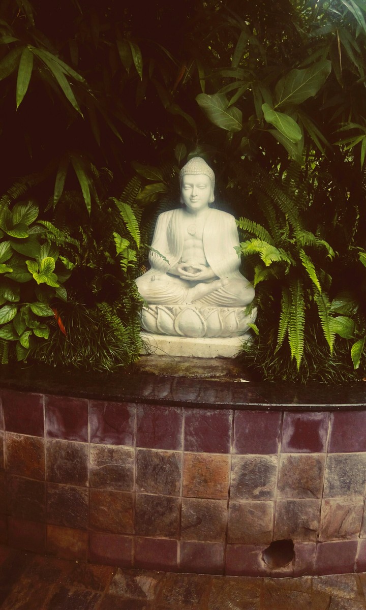 Lord Buddha 