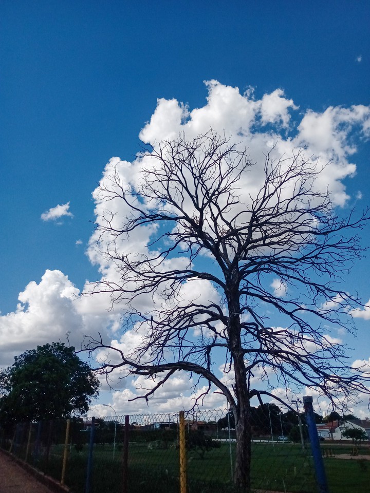 A natureza se completa ♥