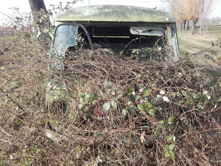 Fiat 238