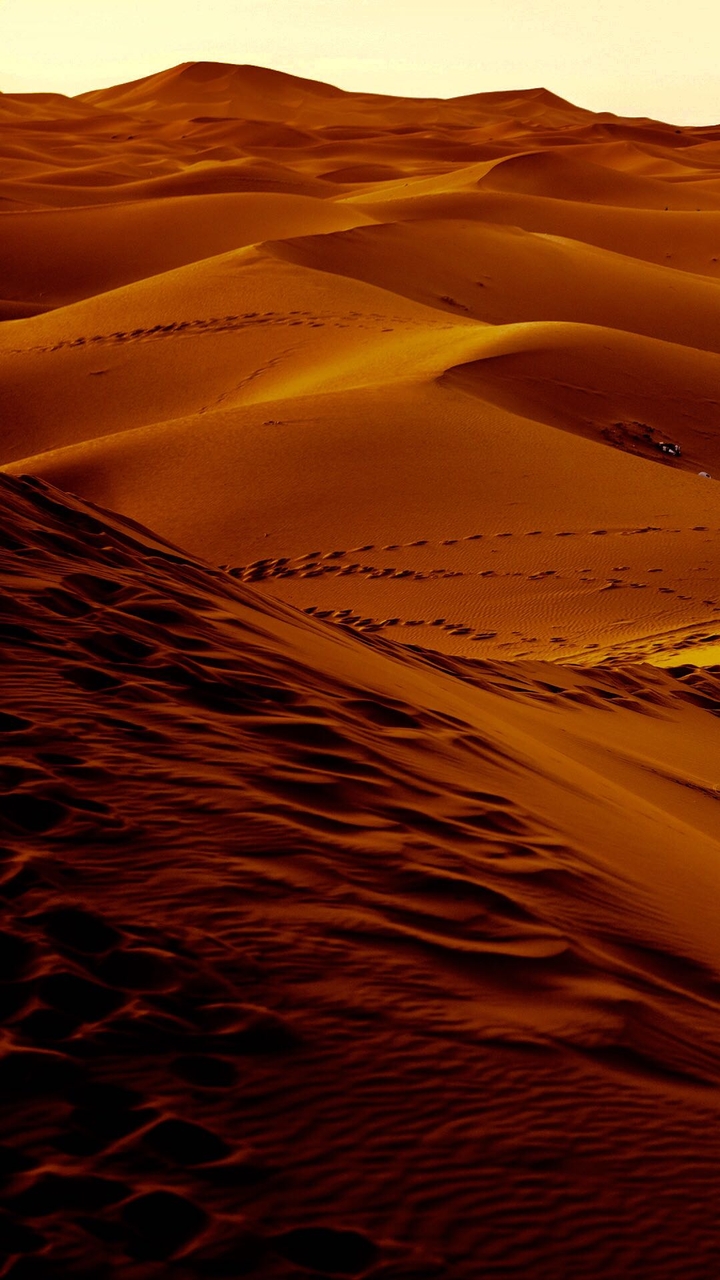 Dubai Desert