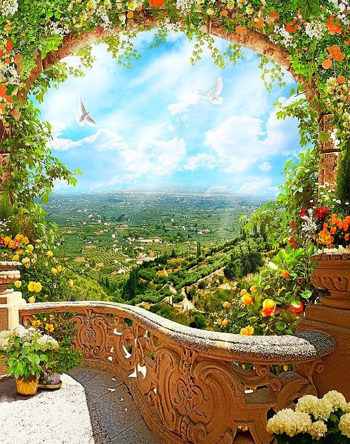 terrace