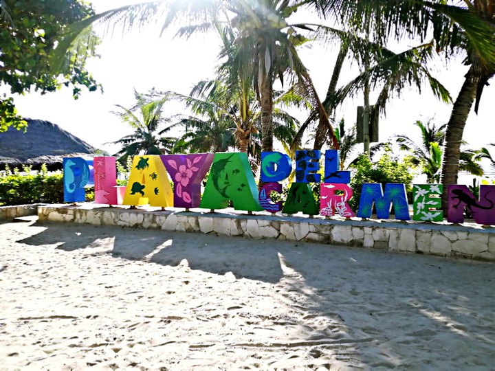 #Playa del Carmen #Beach #Vacation #Mar #Palm #Turismo