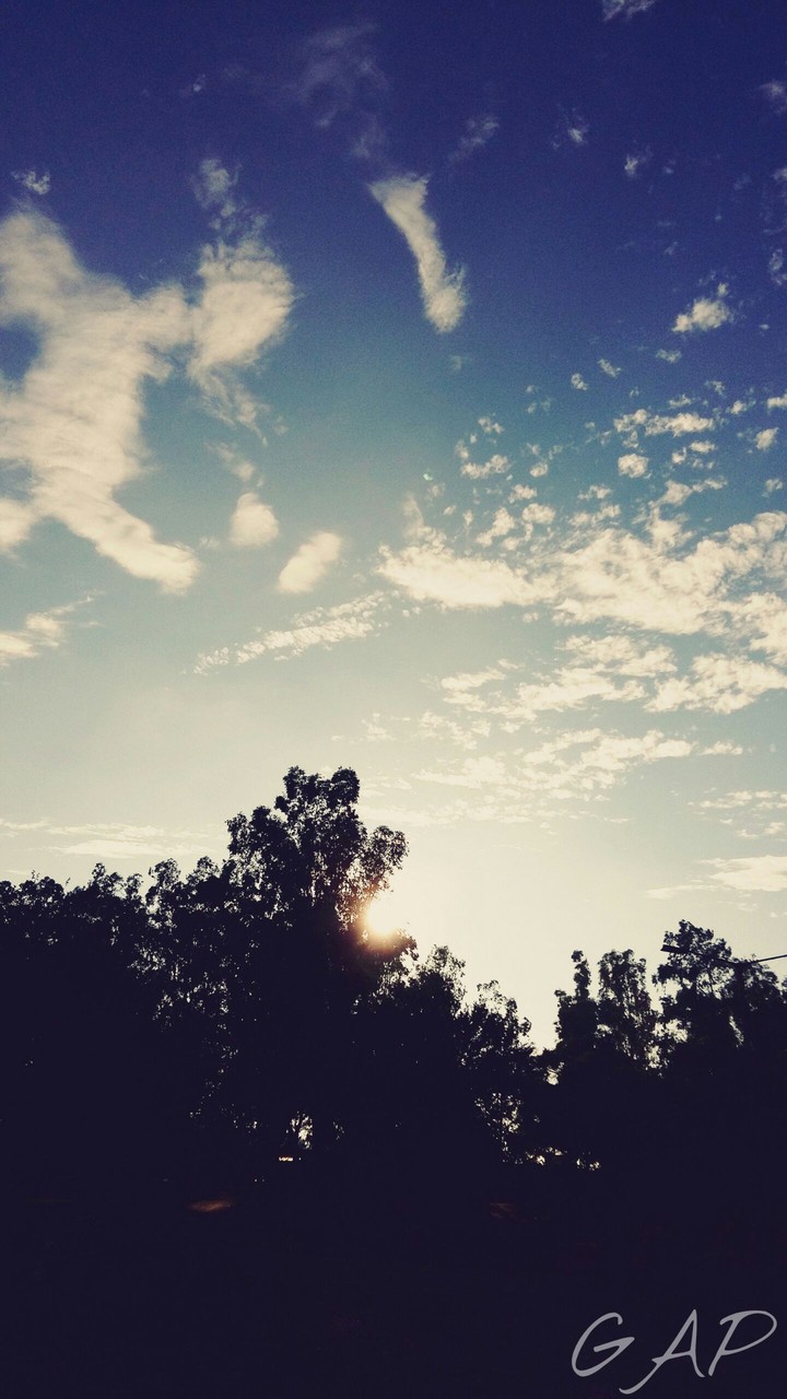clouds & trees